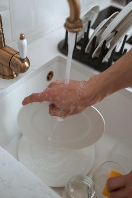 ecowater systems water softener manual